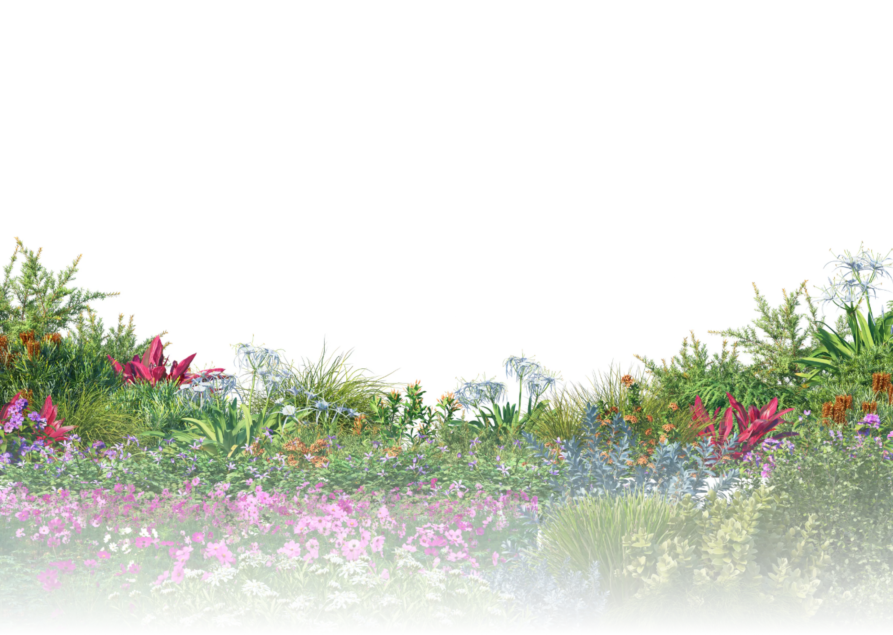 floral background