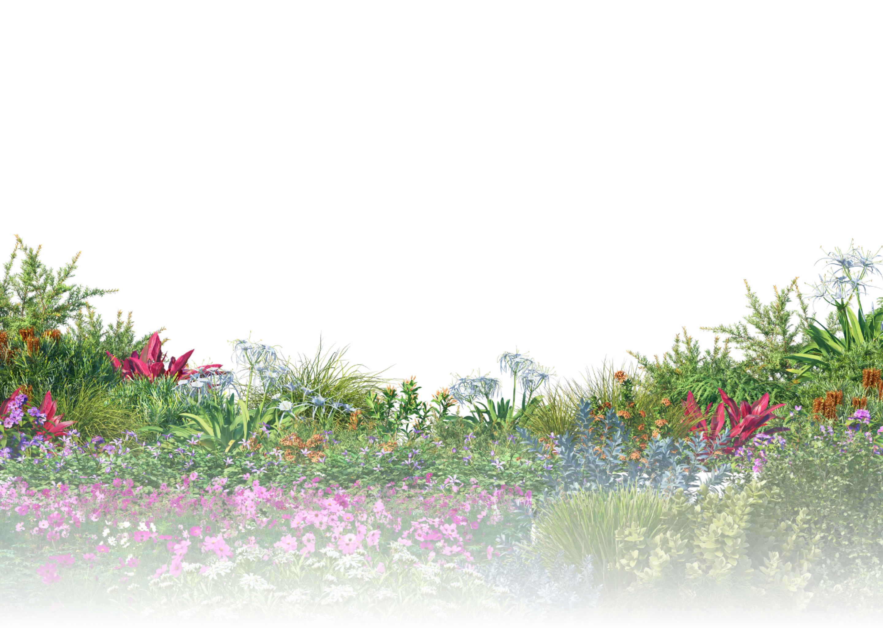 floral background